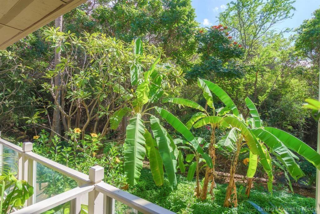 Tiki Tiki - Gorgeous Boho Beach Hideaway! Вайлеа Екстер'єр фото
